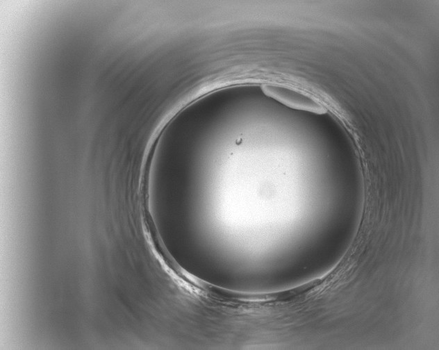 X0000059811536200510241342