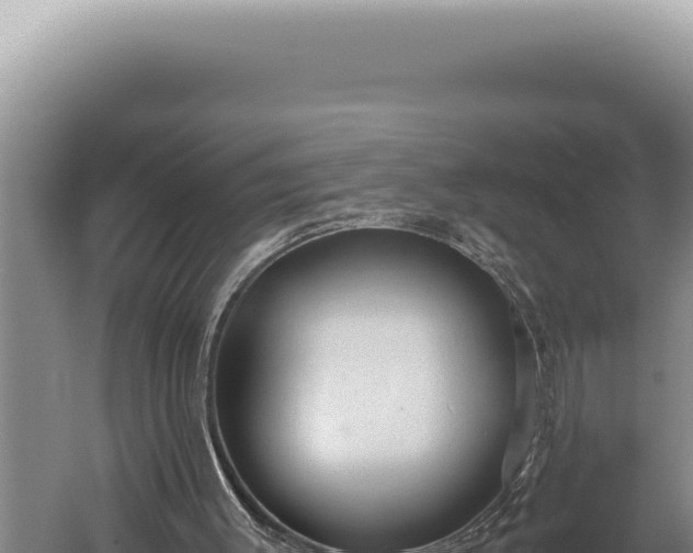 X0000059810003200510281717