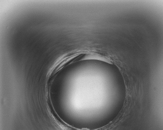 X0000059810005200510281717