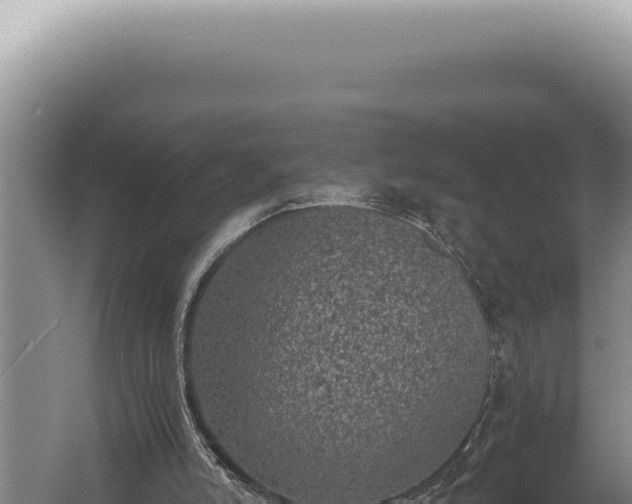 X0000059810006200510281717