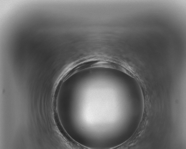 X0000059810007200510281717