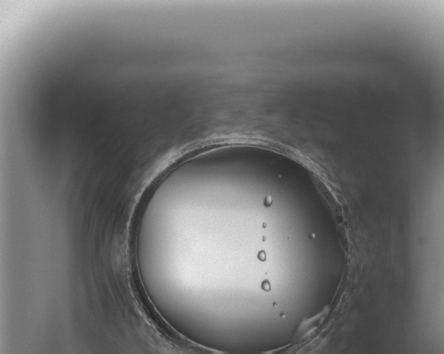 X0000059810008200510281717