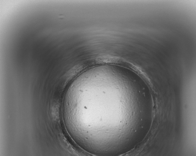 X0000059810010200510281717