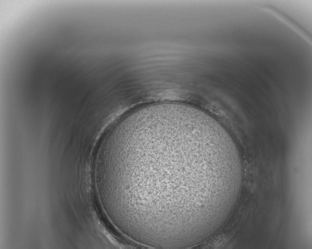 X0000059810012200510281717