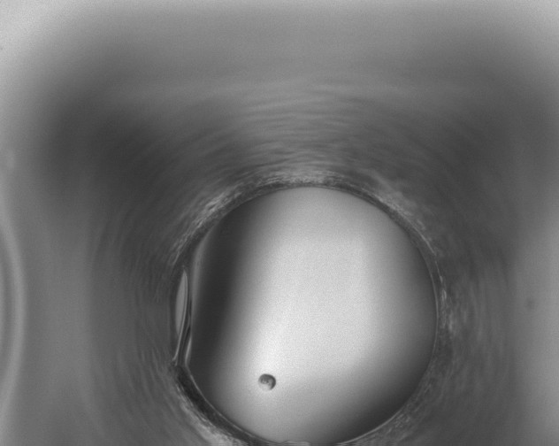 X0000059810013200510281717