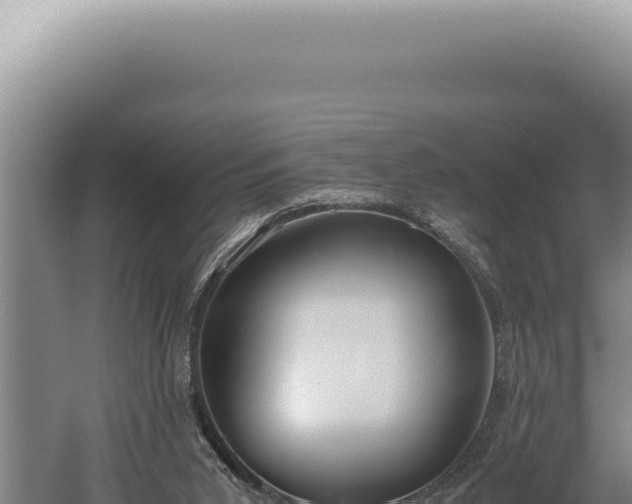 X0000059810015200510281717