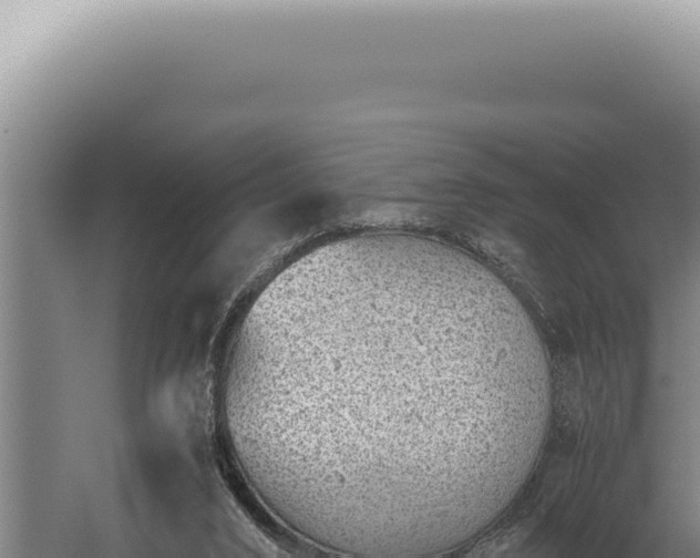 X0000059810016200510281717