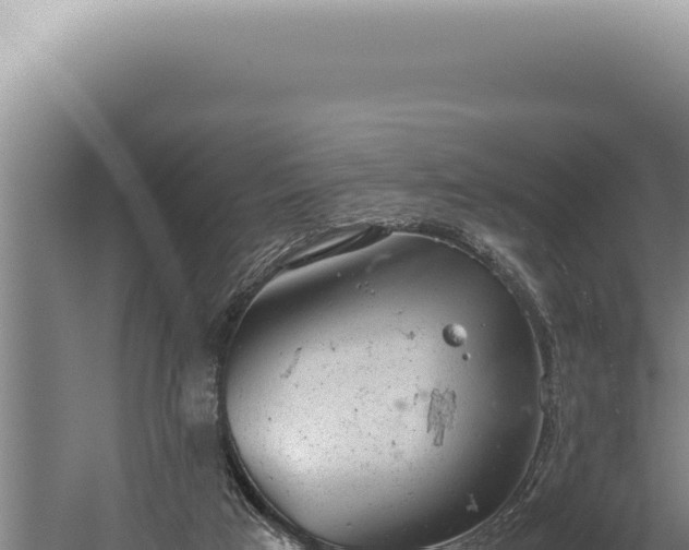 X0000059810017200510281717