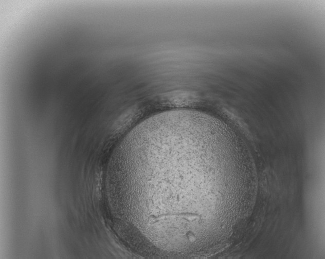 X0000059810018200510281717