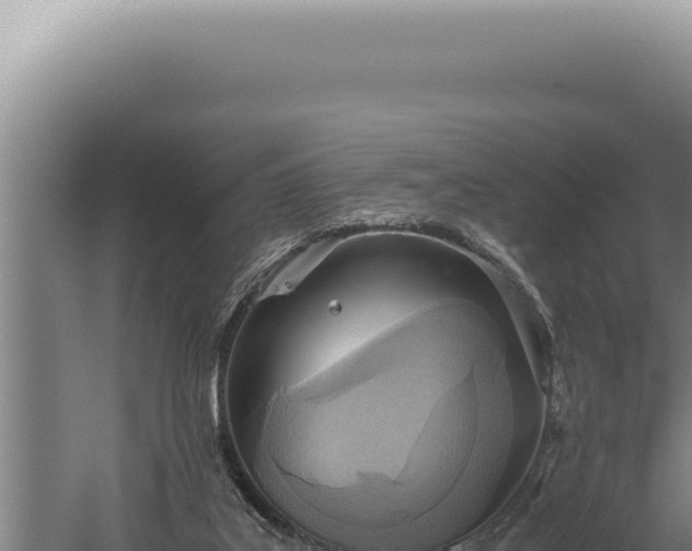 X0000059810019200510281717