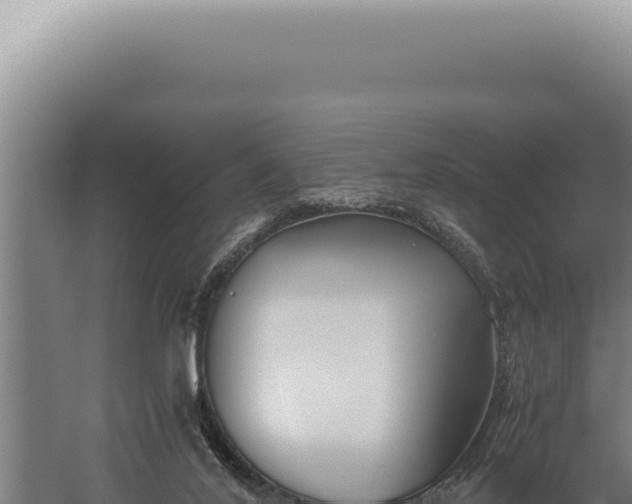 X0000059810020200510281717