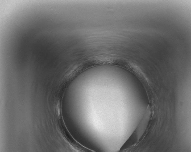 X0000059810021200510281717