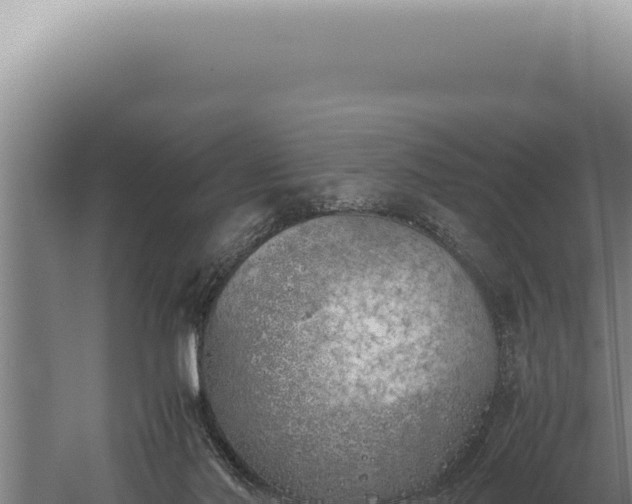 X0000059810022200510281717