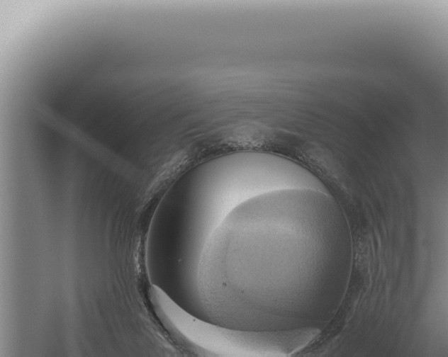 X0000059810023200510281717