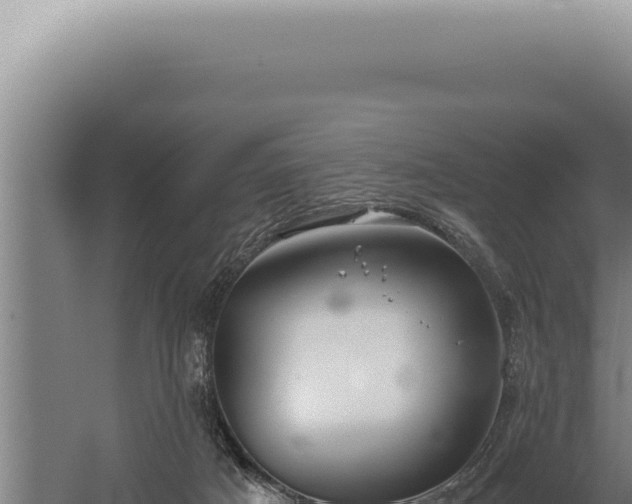 X0000059810025200510281717