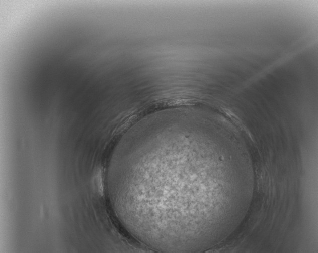 X0000059810026200510281717