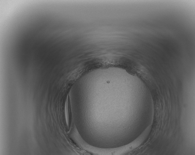 X0000059810029200510281717