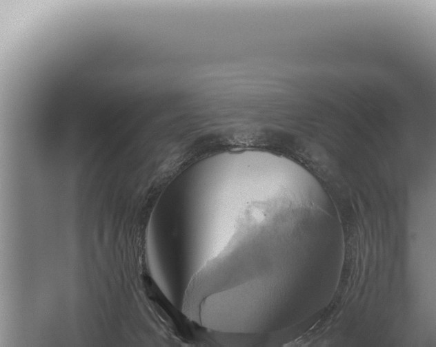 X0000059810031200510281717