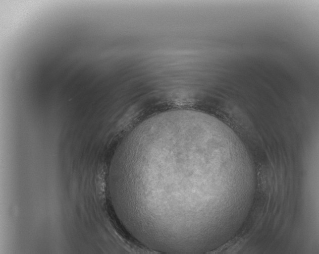 X0000059810032200510281717