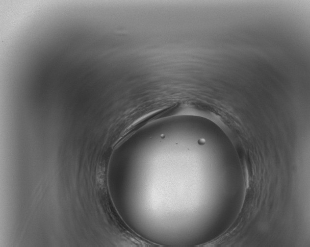 X0000059810033200510281717