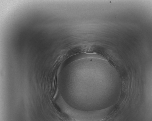 X0000059810035200510281717