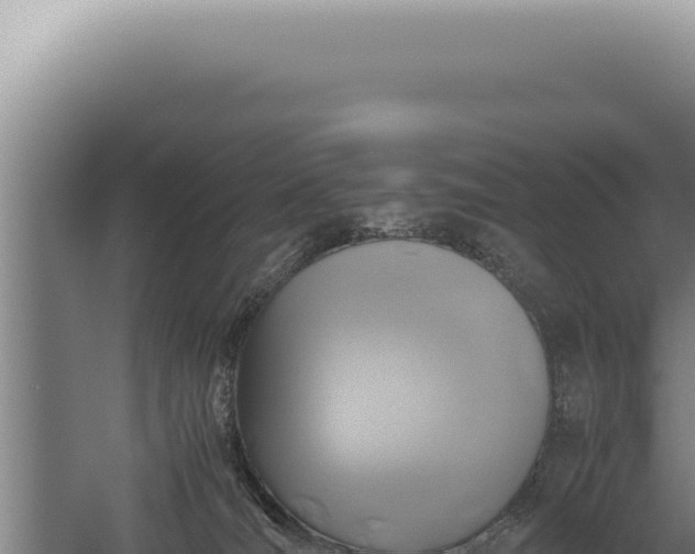 X0000059810036200510281717