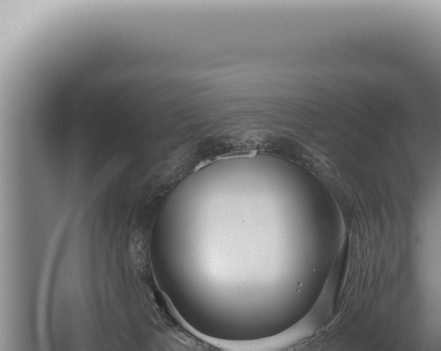 X0000059810037200510281717