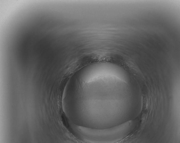 X0000059810039200510281717