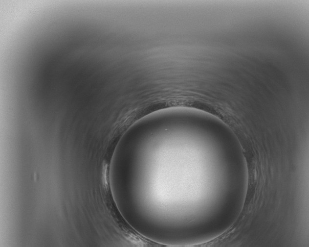 X0000059810041200510281717