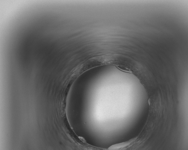 X0000059810044200510281717