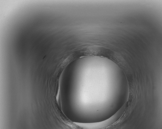 X0000059810045200510281717