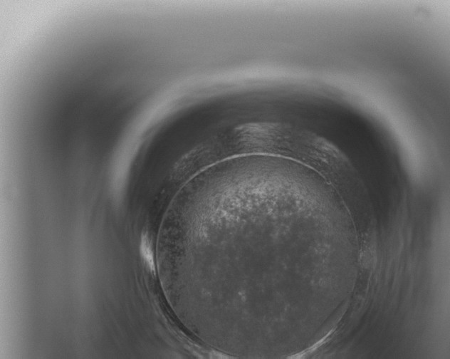 X0000059810047200510281717