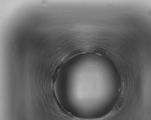 X0000059810048200510281717