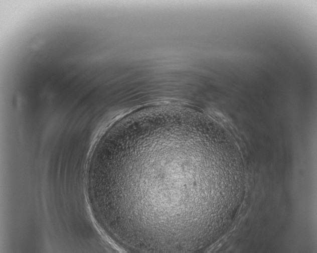 X0000059810049200510281716