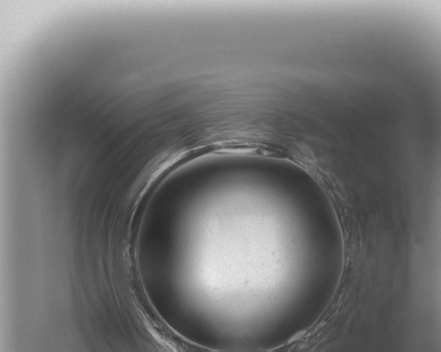 X0000059810050200510281716