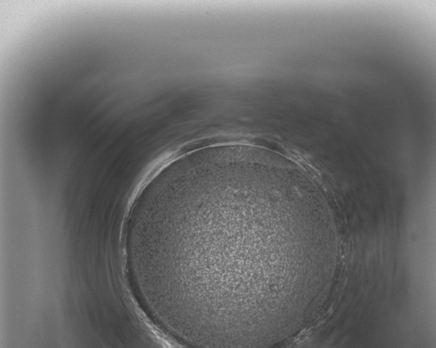 X0000059810053200510281716