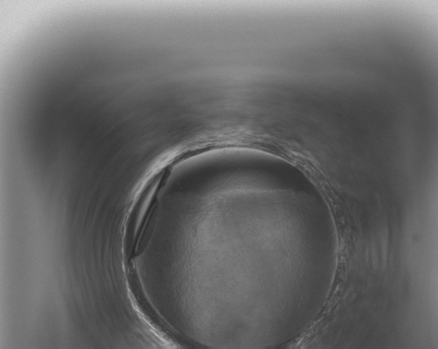 X0000059810054200510281716