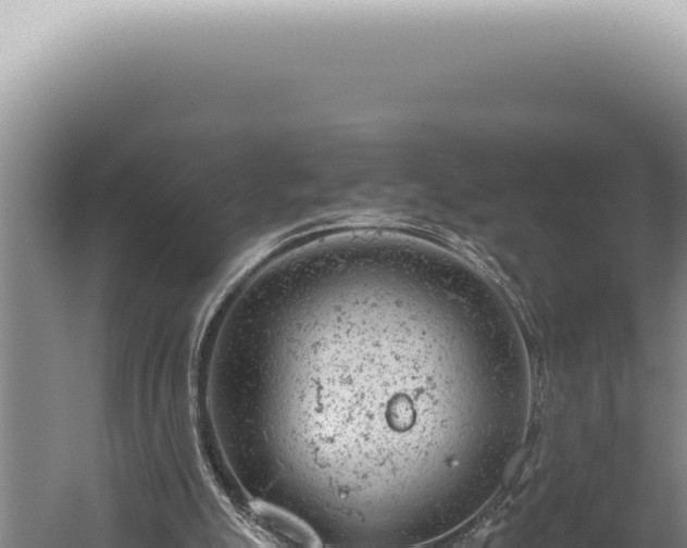 X0000059810055200510281716