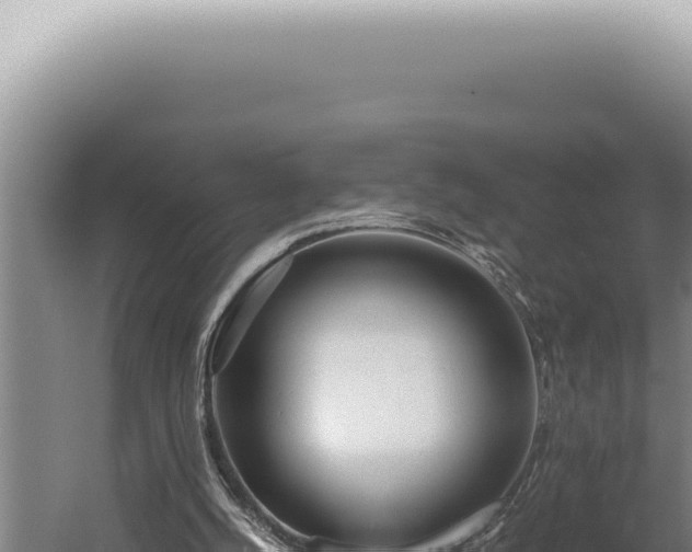 X0000059810056200510281716