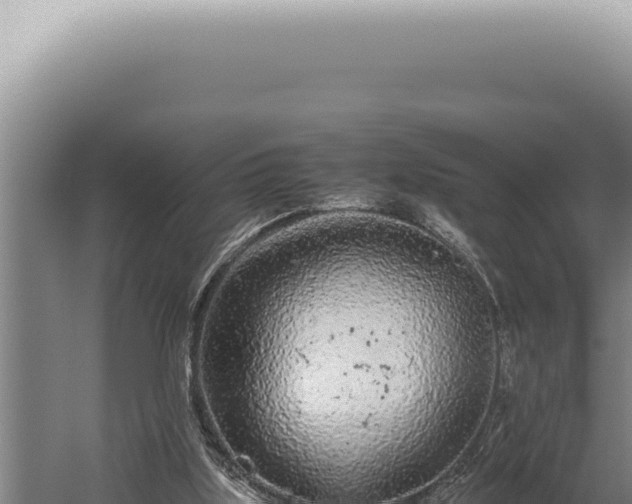 X0000059810059200510281716