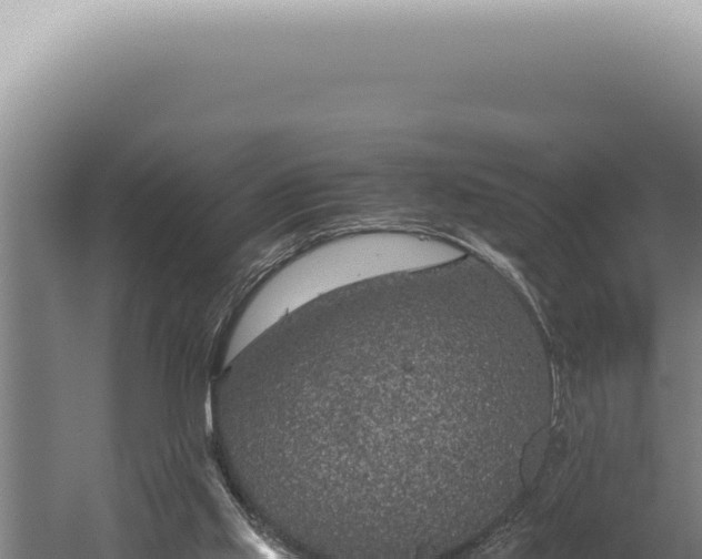 X0000059810061200510281716