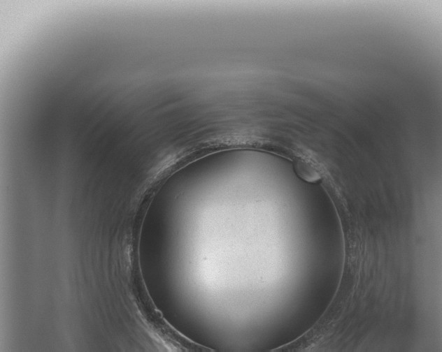 X0000059810063200510281716