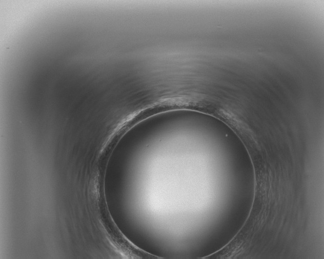 X0000059810064200510281716