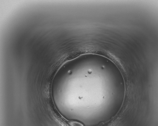 X0000059810065200510281716