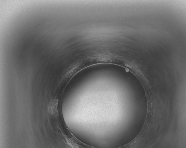 X0000059810066200510281716