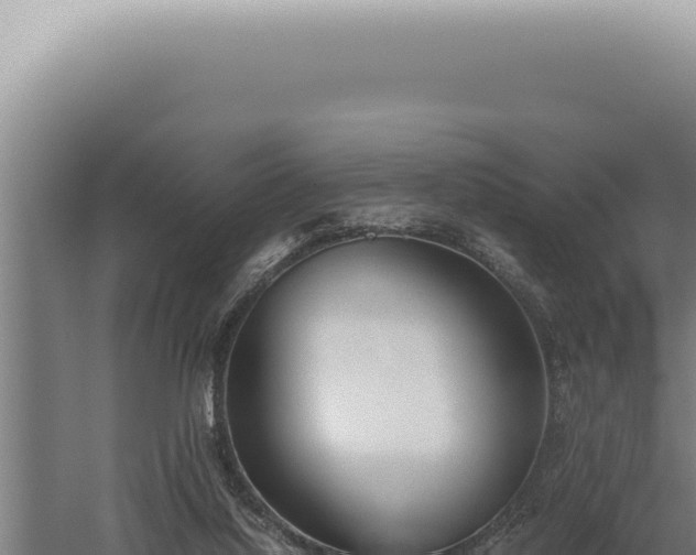 X0000059810068200510281716