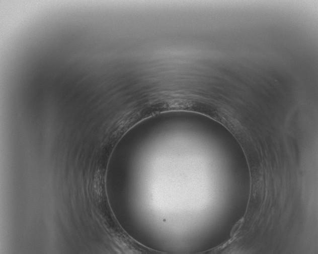 X0000059810078200510281716