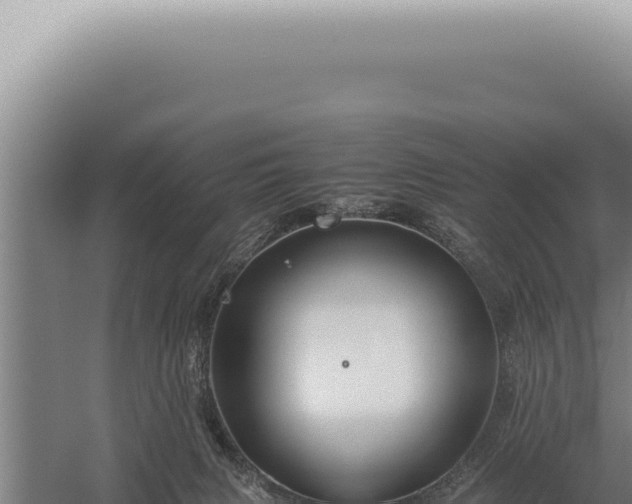 X0000059810079200510281716