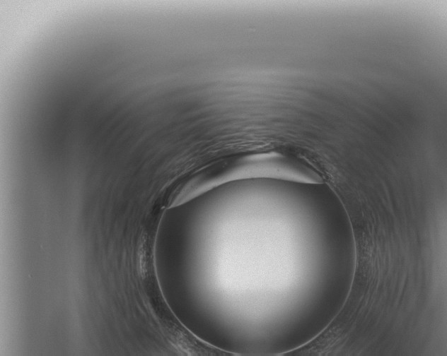 X0000059810080200510281716