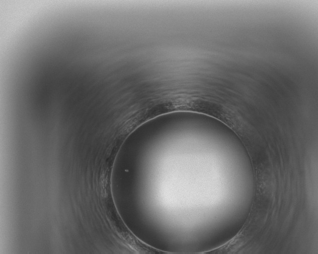 X0000059810082200510281716